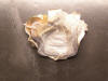 designer chalcedony rose pendant