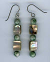 Tree agate and abalone  Hypoallergenic Earrings