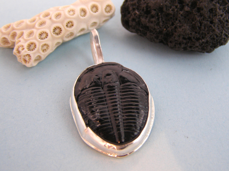 designer trilobyte fossil pendant