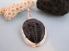 designer trilobite fossil pendant