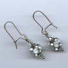 spruce lampwork bead earrings by Two Iguanas Glass