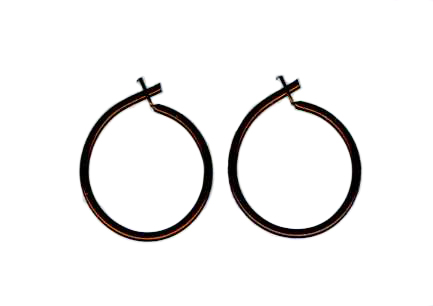 niobium mini hoops