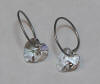 titanium sleeper earrings with crystal swarovski hearts