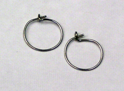 titanium sleeper earrings