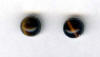 6mm tiger eye cab titanium post earrings