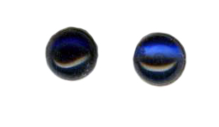 6mm blue sapphire cab titanium post earrings