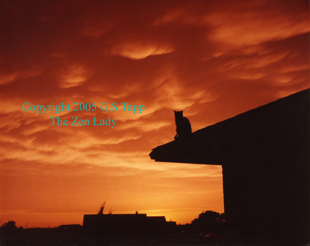 Photographic art print