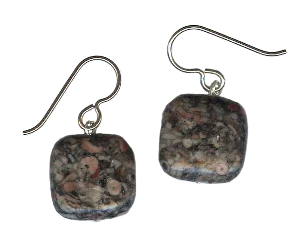 hypoallergenic Fossiliferous Jasper Earrings