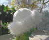 plush winter hat with eyelash yarn brim